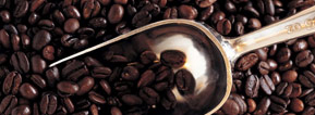 煎培咖啡豆